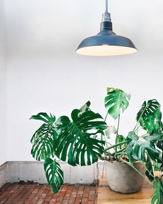 36f3fba6bd70ff01e90d72c4b00aadf4