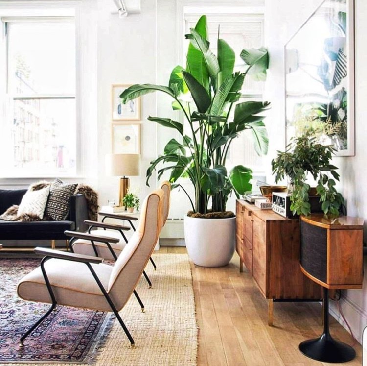 71e6ee0e722ba84c31245e80dd9fb62e